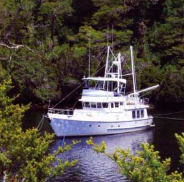 PACIFIC MOTOR YACHT Pacific Motor Yacht