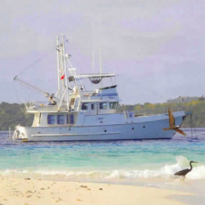 N46 EGRET
