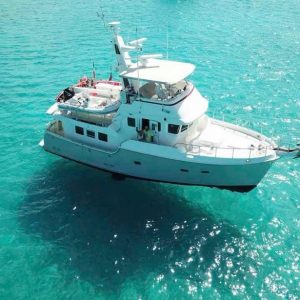 Southern Star Drone 1024x615 1