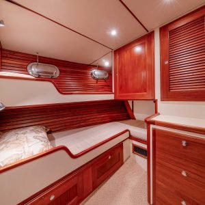 N40 shamerock ex guest 1