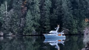 N475 49 1