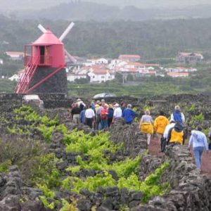 NAR Group Tour Pico 2