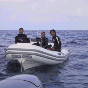 NAR Returning from dive