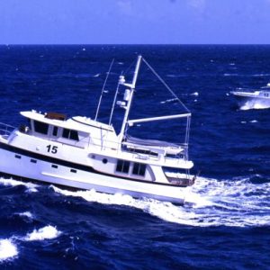 NAR Sea Fox and Goleen