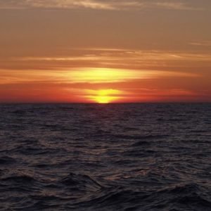 NAR Sunset