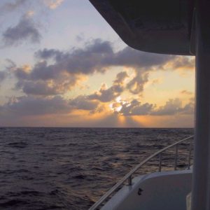 NAR Sunset