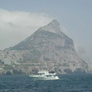 NAR The Rock