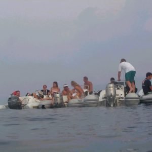 NAR The group dives