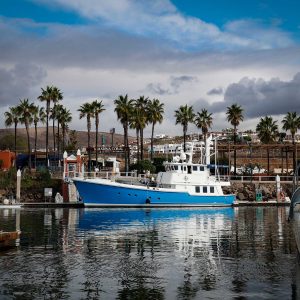 NTR marina 3