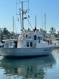 N46 lady grey 1