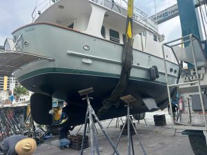 N46 lady grey 15