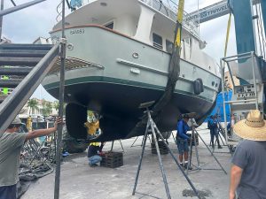 N46 lady grey 16