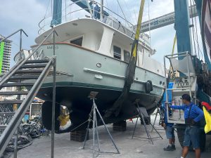 N46 lady grey 17