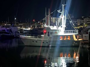 N46 lady grey 19