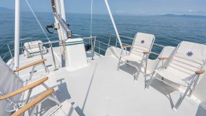 N46 lady grey 22