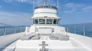N46 lady grey 23