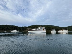 trojan 42 sea voyager 24