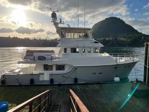 KLONDIKE 31