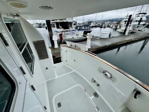 N4317 Brimmer 46