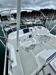 N4317 Brimmer 51