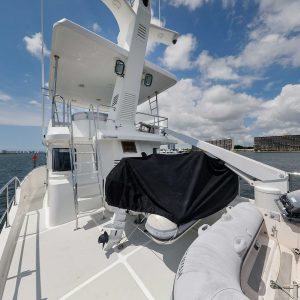 N55 gray wolf ex 4
