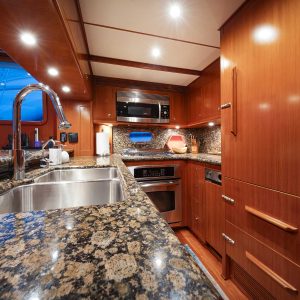 N55 gray wolf galley 2