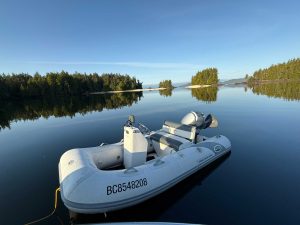 N43 curiosity 72