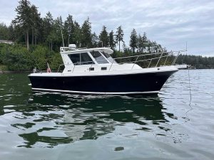 albin sistership 12